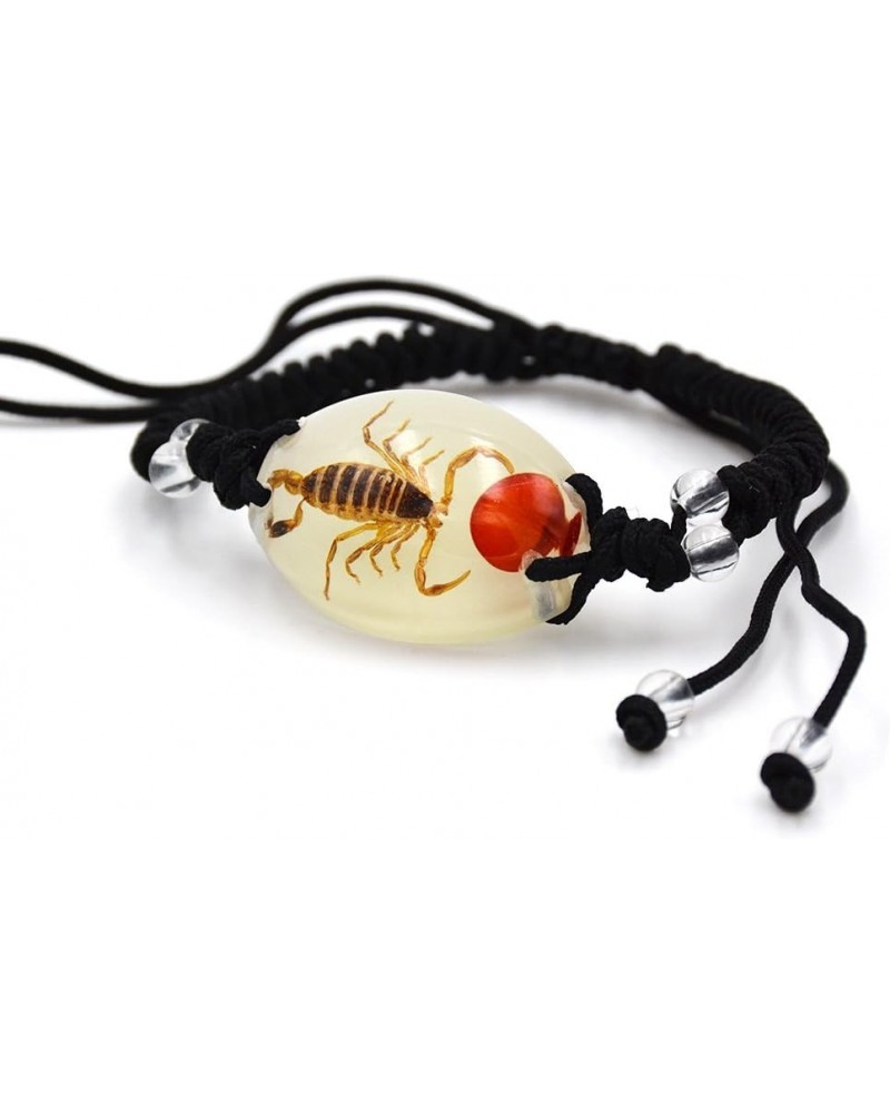 Real Scorpion Necklace, Real Scorpion Pendant Necklace Bracelet Fluorescent Brown Scorpion Bean $8.50 Necklaces