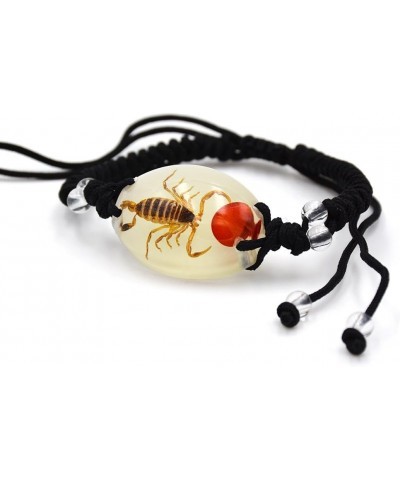 Real Scorpion Necklace, Real Scorpion Pendant Necklace Bracelet Fluorescent Brown Scorpion Bean $8.50 Necklaces