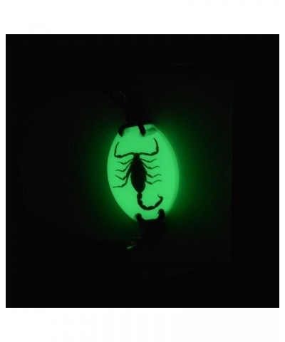 Real Scorpion Necklace, Real Scorpion Pendant Necklace Bracelet Fluorescent Brown Scorpion Bean $8.50 Necklaces