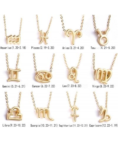 Zodiac Layer Necklaces for Women Girls | Retro 14K Silver Plated 12 Constellation Pendant Necklace | 18 inch Chain, Astrology...