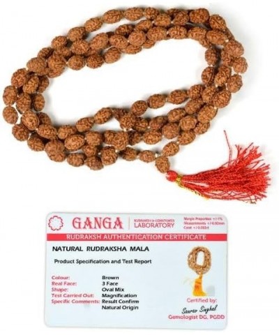 Certified Original Nepali 108+1 Rudraksha Mala for Wearing and Japa Mala 3 Mukhi Rudraksha Mala $13.05 Necklaces