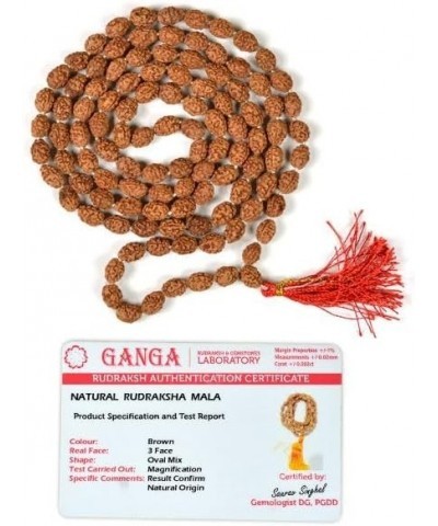 Certified Original Nepali 108+1 Rudraksha Mala for Wearing and Japa Mala 3 Mukhi Rudraksha Mala $13.05 Necklaces