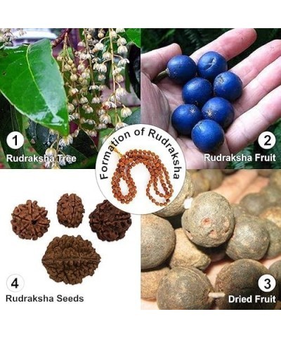 Certified Original Nepali 108+1 Rudraksha Mala for Wearing and Japa Mala 3 Mukhi Rudraksha Mala $13.05 Necklaces