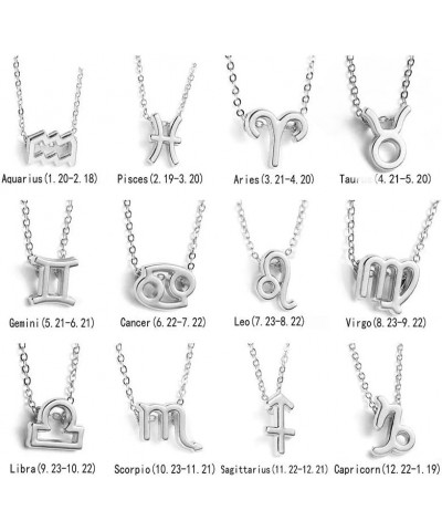 Zodiac Layer Necklaces for Women Girls | Retro 14K Silver Plated 12 Constellation Pendant Necklace | 18 inch Chain, Astrology...