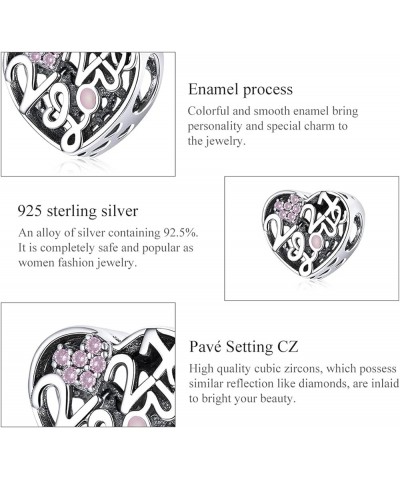 925 Sterling Silver Bead Charms for Jewelry Bracelets Necklaces Exquisite Statement Charm for Women and Teen Girls Holiday Ch...