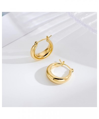 Gold Plated Huggie Hoop Earrings for Women Square Round Thick Hoop Earrings Jewelry Gift Gold-Small Chunky $12.23 Earrings