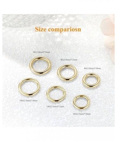 4G 6G 8G 10G 12G Clicker Rings 316L Surgical Steel Hinged Segment Hoop for Septum and Cartilage Earlobe Piercings, Diameter 1...