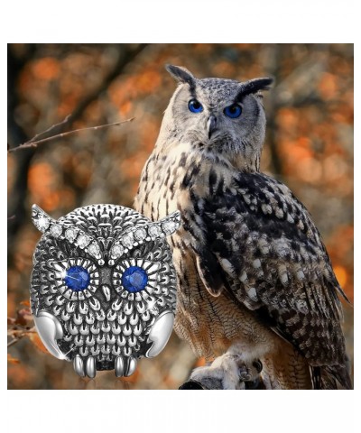 Retro Owl Charms 925 Sterling Silver Wise Guardian Bead for Bracelets $11.21 Bracelets