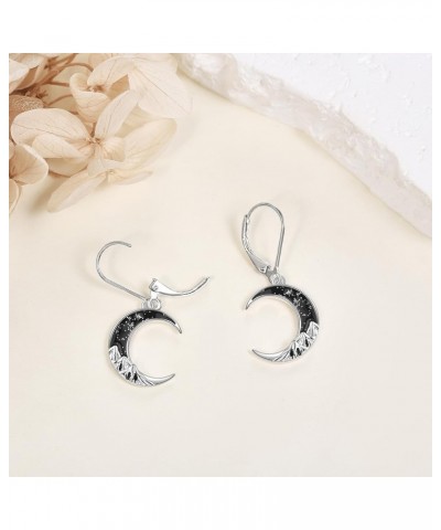 Cat Gifts for Cat Lover Black Cat Earrings for Women 925 Sterling Silver Leverback Earrings Moon Cat Jewelry Birthday Mother'...