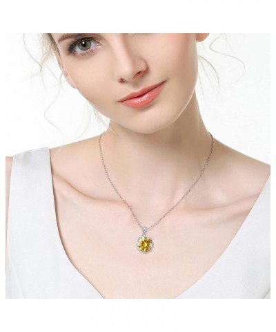 Fashion Water Drop Necklace Pendant Jewelry Zircon Necklace Clavicle Chain Simple Temperament Jewelry Birthday Gift YellowA $...