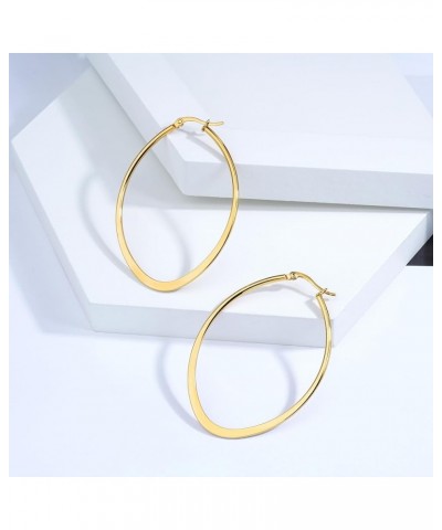 Gold Hoop Earrings for Women 14K Gold Plated Chunky Small Twist Hammered Hoop Earrings Hypoallergenic Stainless Steel Trendy ...