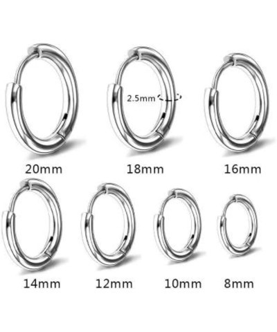 Surgical Stainless Steel Hoop Earrings 8mm/10mm/12mm/14mm/16mm Gold Black Rose Gold Silver Present Gift For Women - Cartilage...